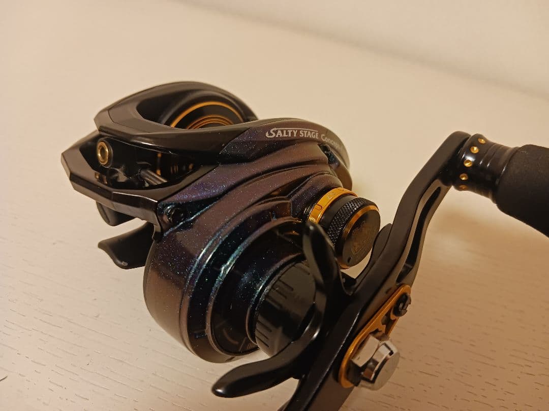 ソルティーステージ　コンセプトフリー　L　左　アブガルシア