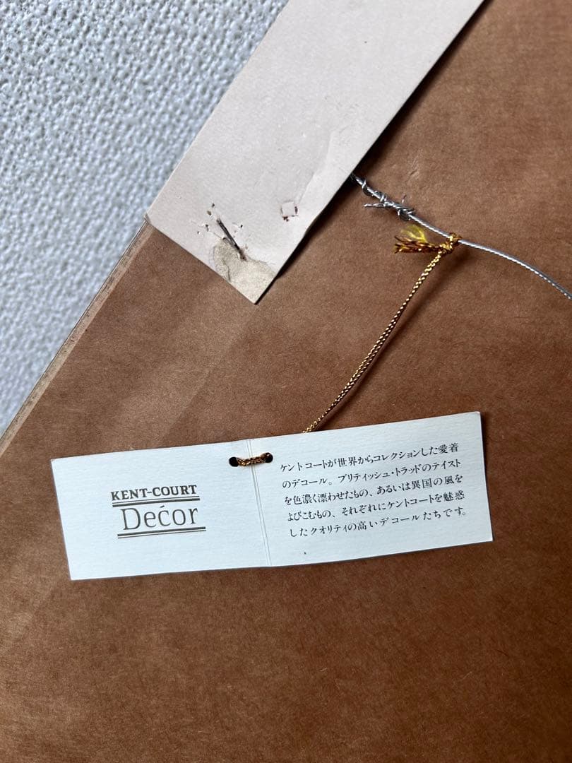 1750年 タスマニア、オーストラリア、ジャワ、シュレイ、手彩色版画