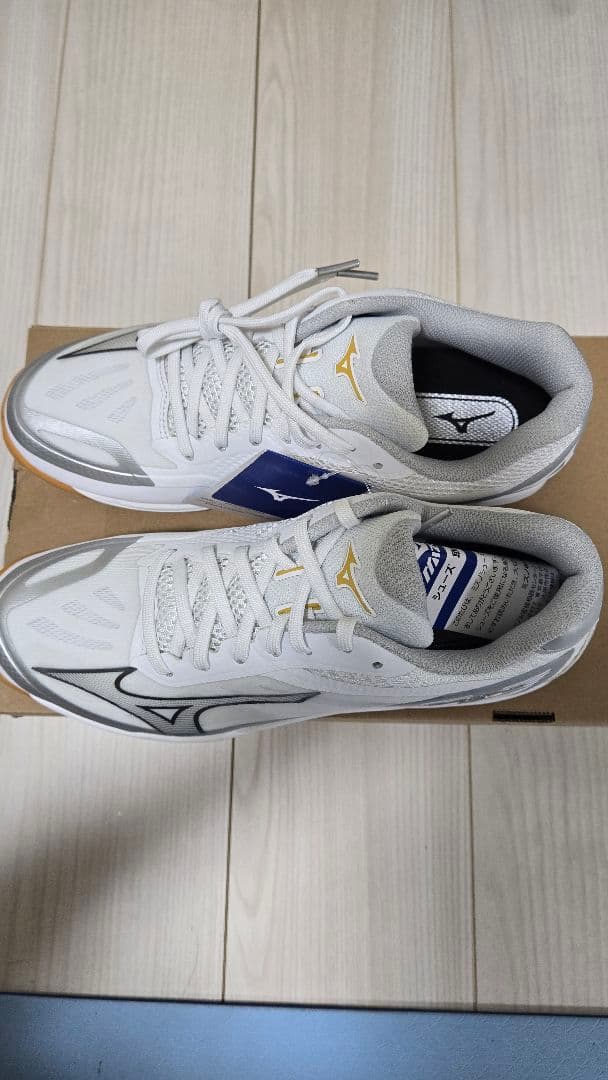 ミズノ　MIZUNO　バレーボール　ミズノフライ