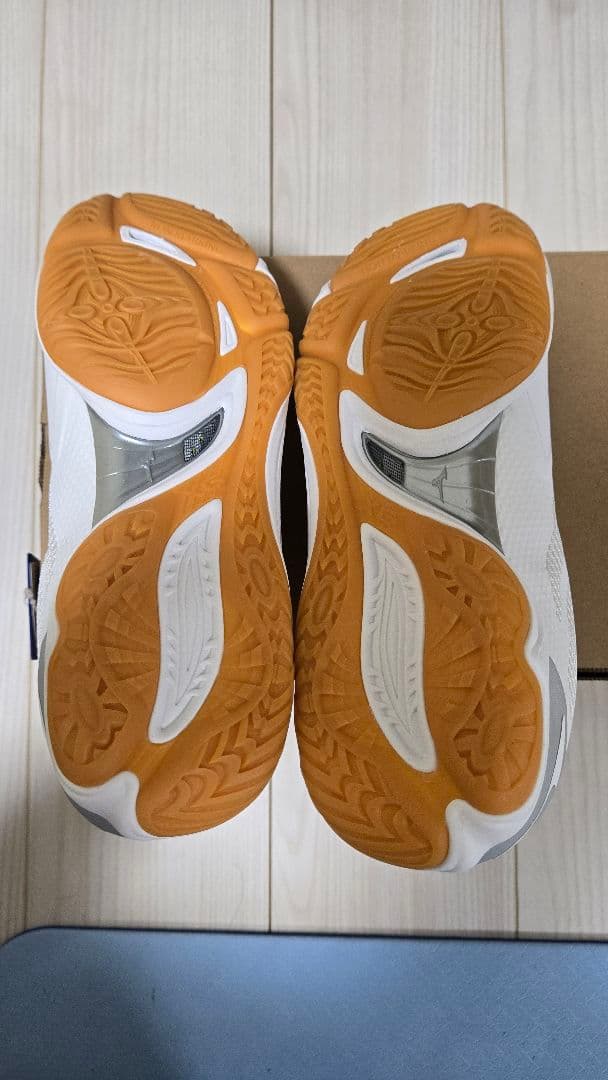 ミズノ　MIZUNO　バレーボール　ミズノフライ