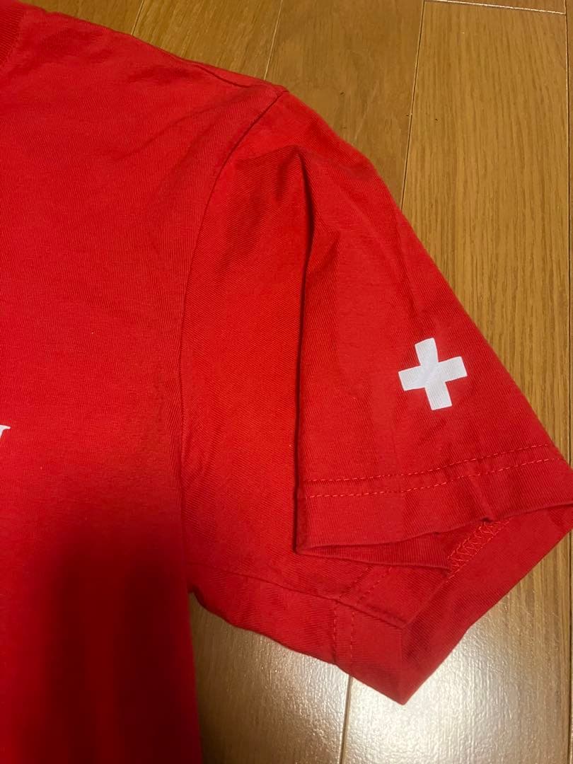 nike ナイキ フェデラー テニス Tシャツ　スイス