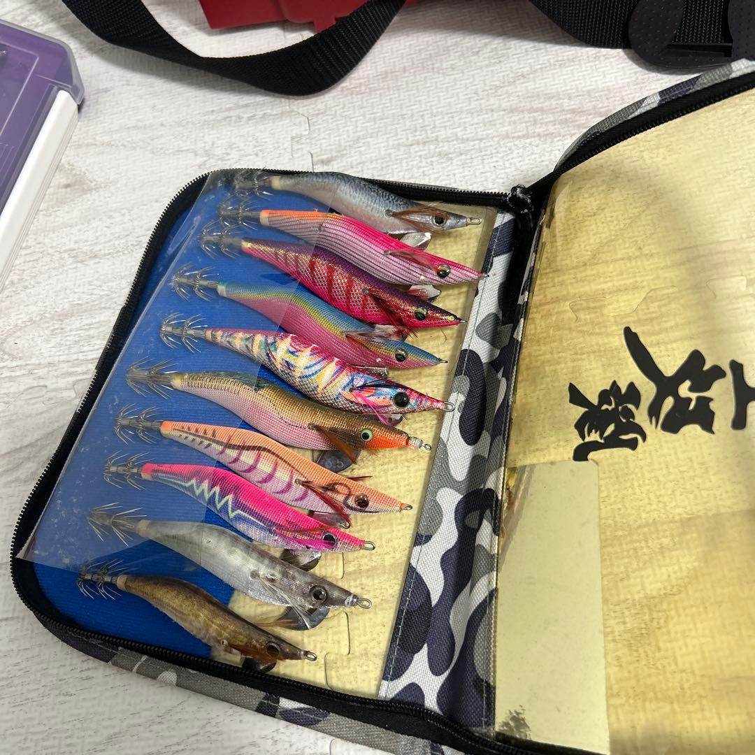 エギ30個ケース付き