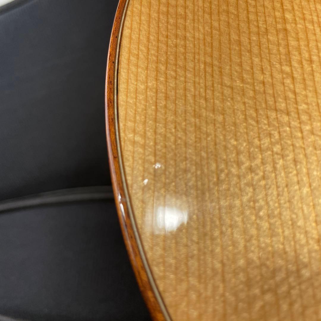 aNueNue BIRD M52 アコースティックギター