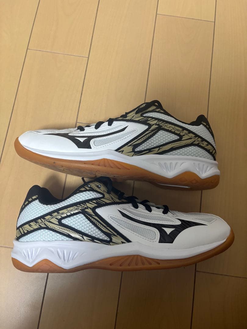 ミズノ　Thunder blade3 バレーシューズ 25.0cm