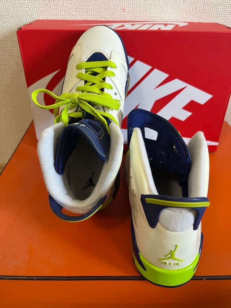 Jordan 6 US限定カラー 24cmニッキーミナージュ着用モデル