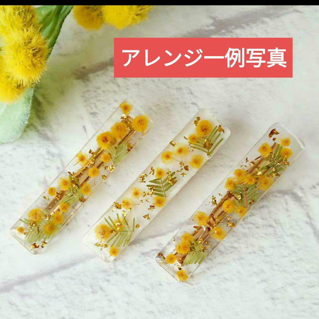 ♥昨年大絶賛の【生花ミモザ】を ご希望のサイズ自由に【3月5日までの限定】販売