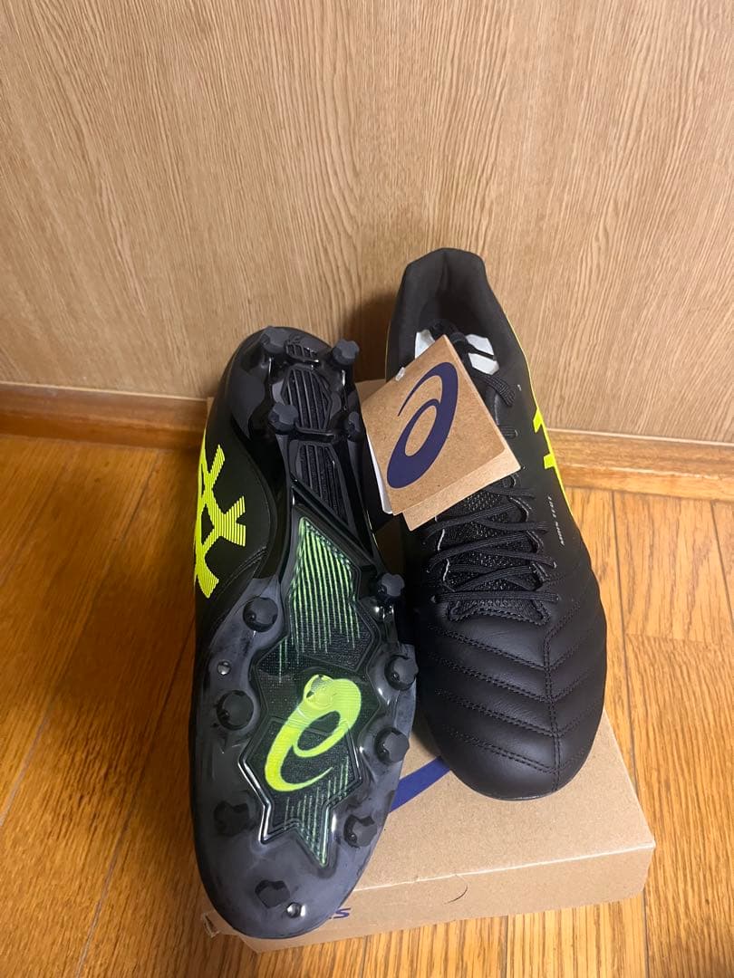 ASICS DS LIGHT X-FLY PRO 29センチ　黒