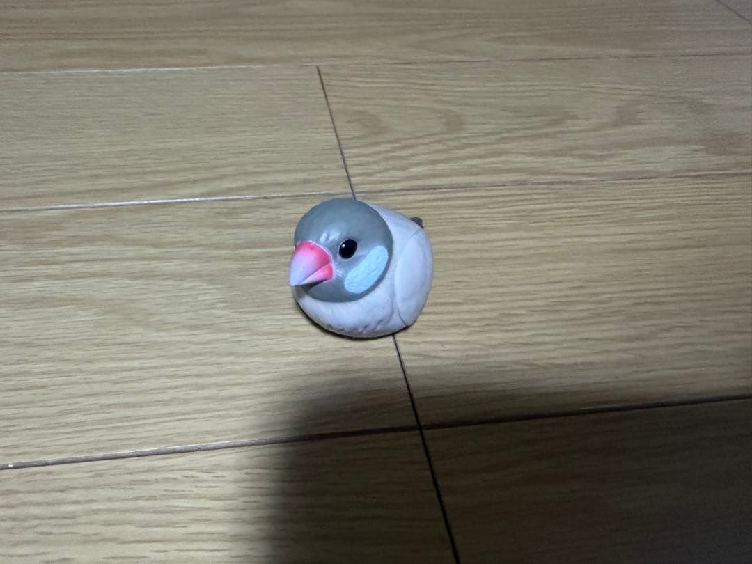 てのりフレンズ　鳥類　セット