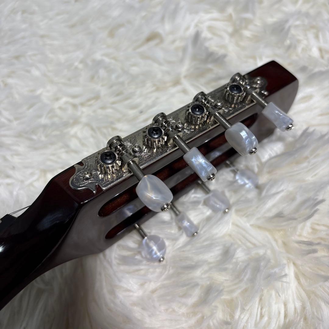 【極美品/希少】SUZUKI マンドリン M-50 a master hand