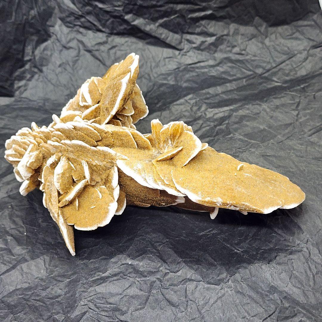 天然石 砂漠ローズ 美しいローズ状結晶 約16cm