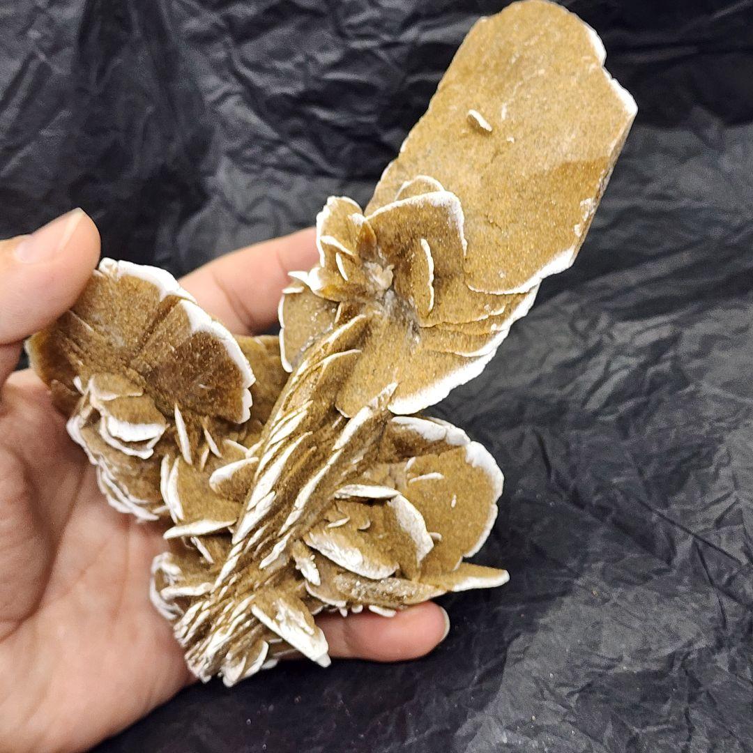 天然石 砂漠ローズ 美しいローズ状結晶 約16cm