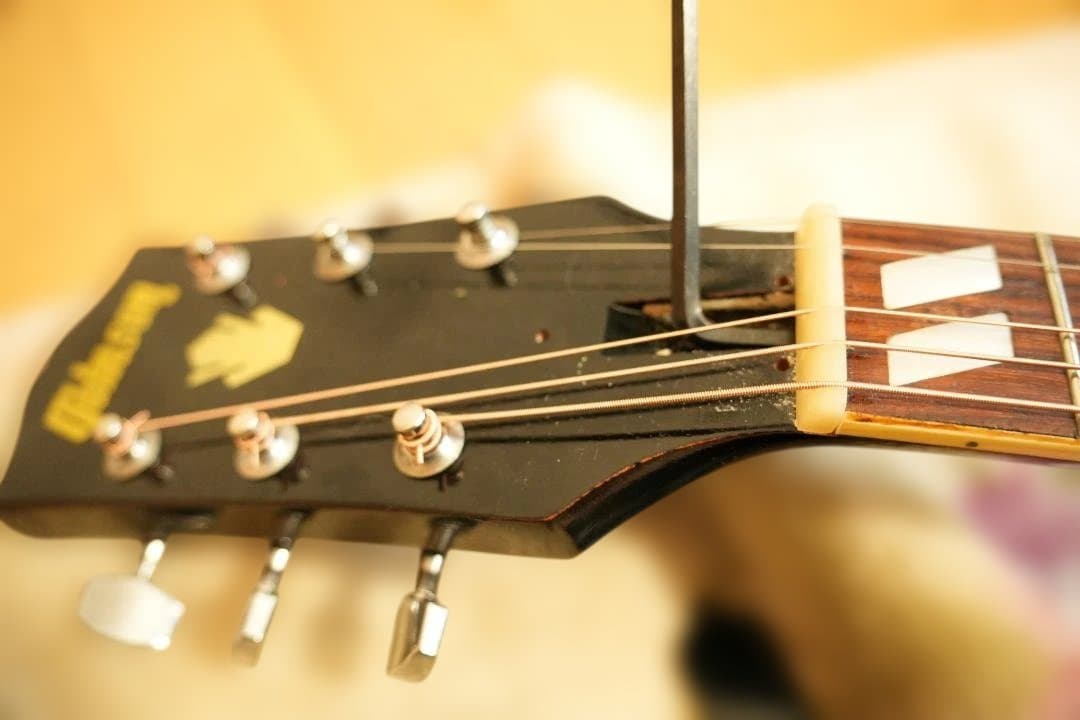木曽鈴木バイオリン TOMSON DW-40