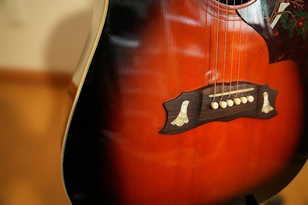 木曽鈴木バイオリン TOMSON DW-40