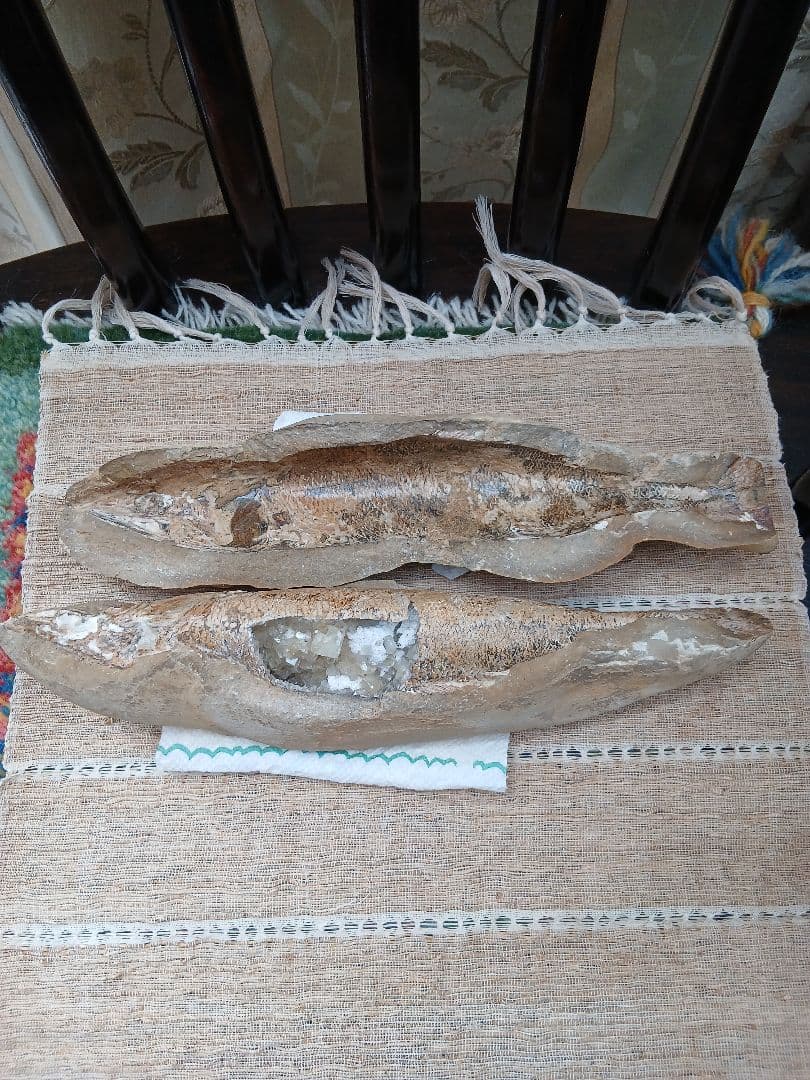 サ*ス様 内部が結晶化した魚の化石