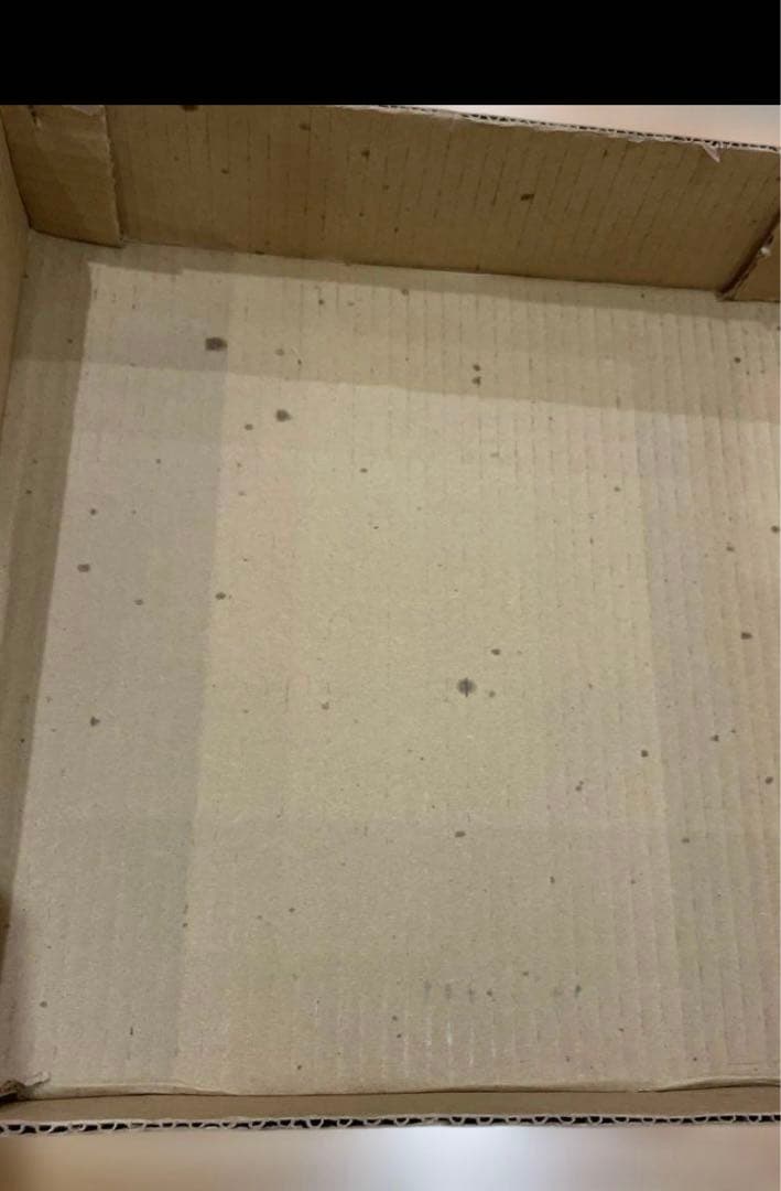 高級品　松花堂　越前漆器　笹模様　6セット　+ 模様なし　4セット