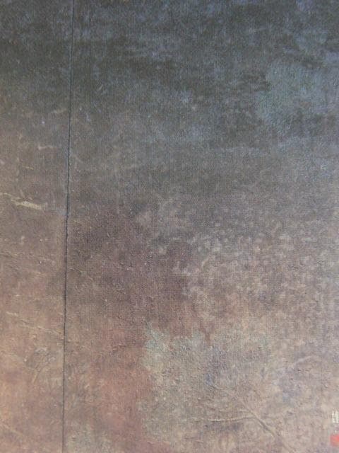 手塚雄二、【創星那智】、希少な額装用画集より、新品額装付、状態良好