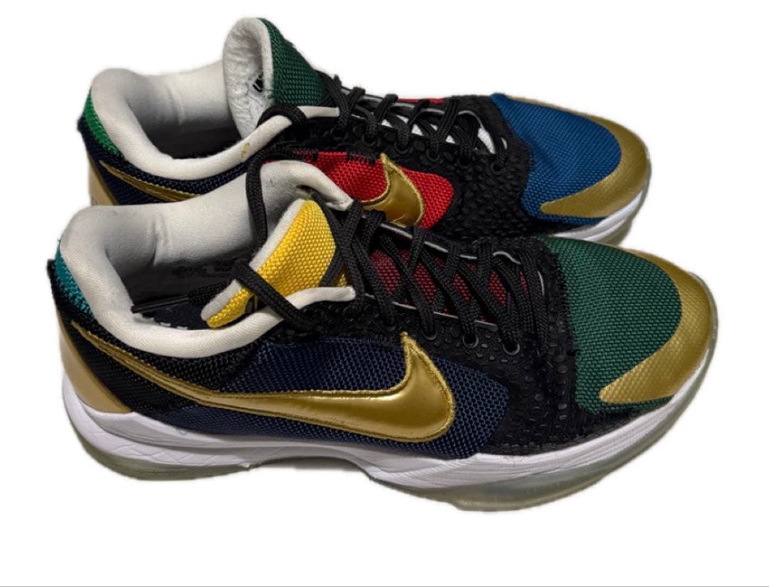 シューズ(男性用) UNDEFEATED Nike Kobe5 Protro Dirty Dozen