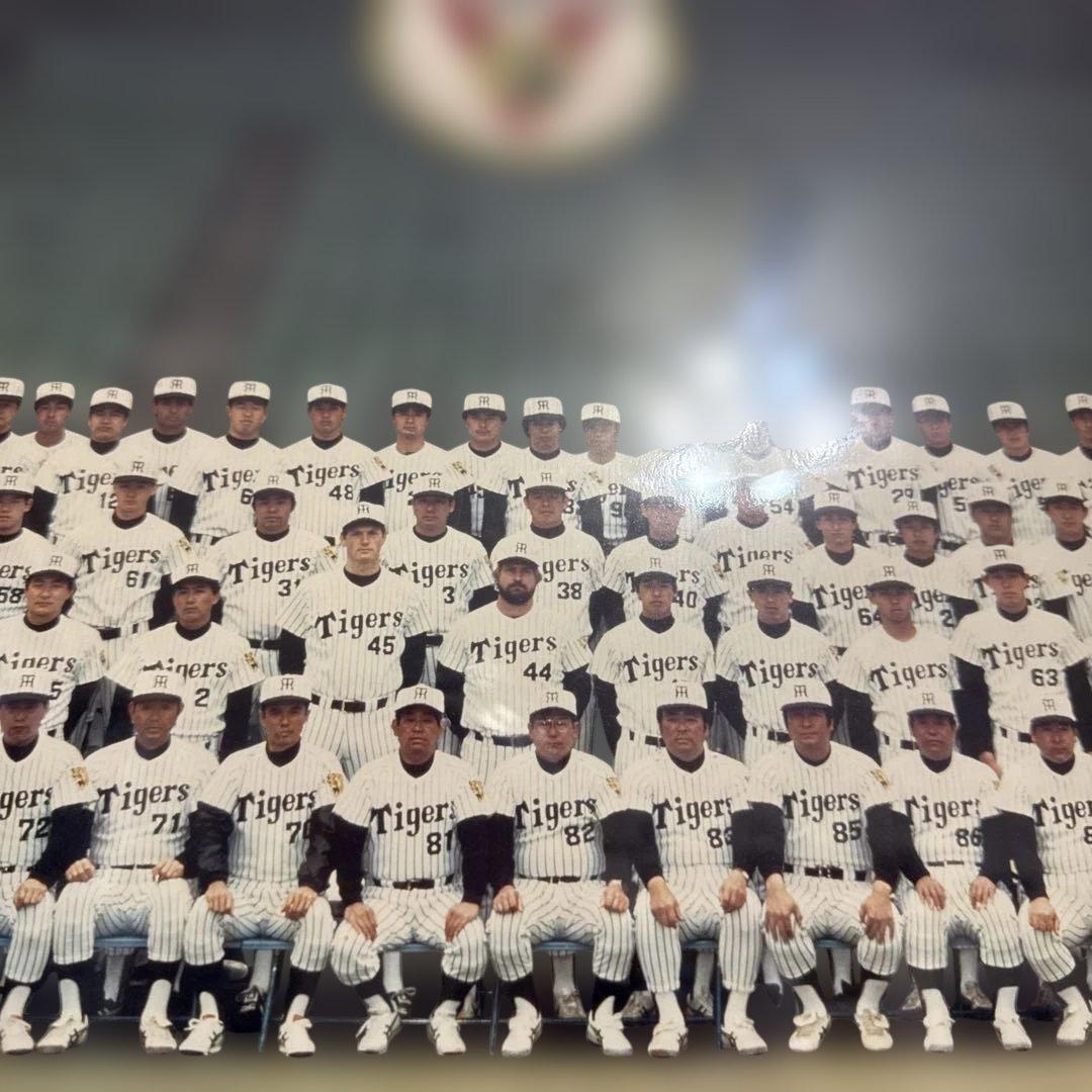 阪神Tigers 85年優勝　チーム集合写真 フレーム付き　非売品