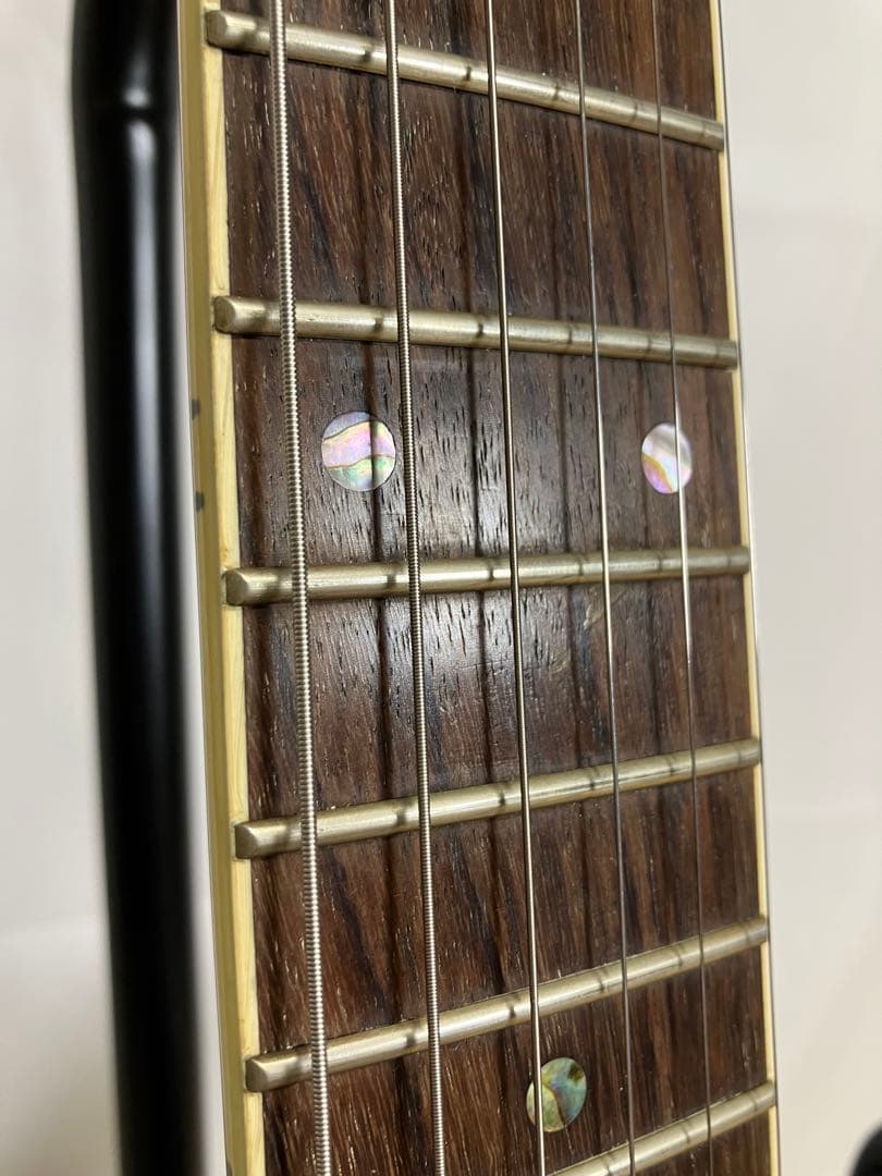 Cort エレキギター EMG HZ搭載