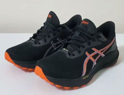 asics GT-1000 13 GTX / 25.5cm / レディース