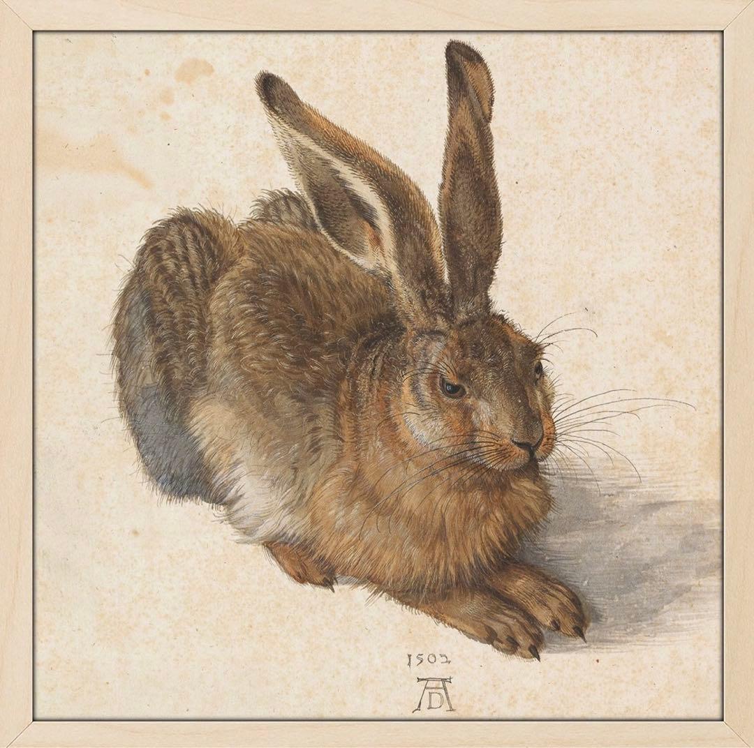 アルブレヒト・デューラー　水彩画　「うさぎ」　複製画