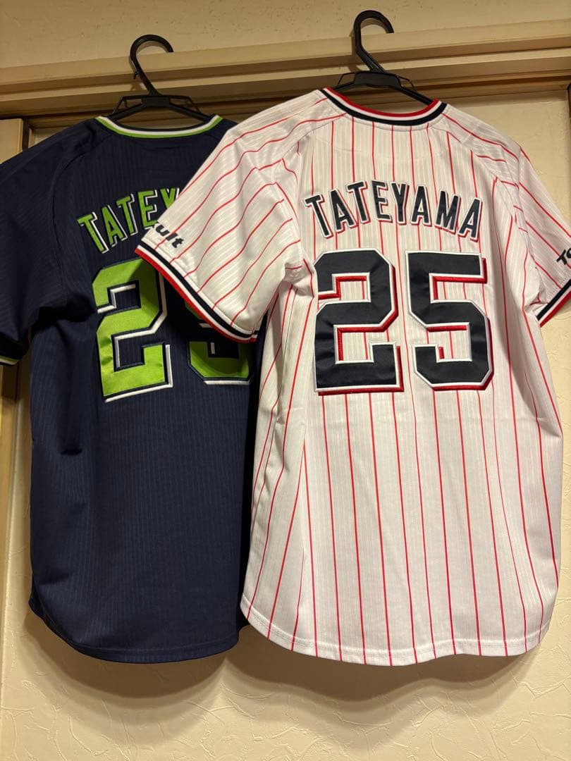 ヤクルトスワローズ 館山選手 ユニフォーム 25番