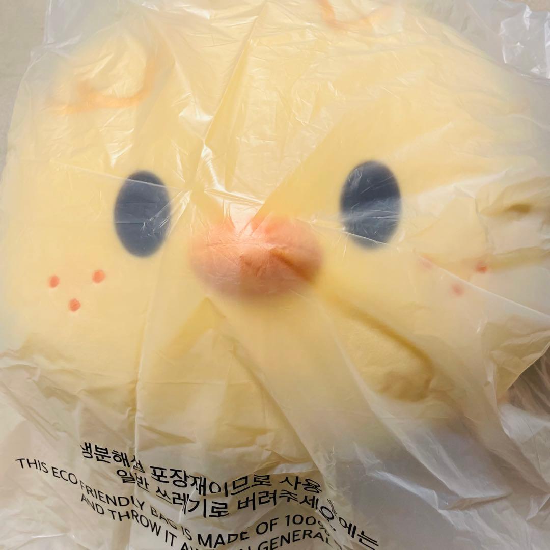 ポガリ　BbokAri クッション　SKZOO CUSHION BABY