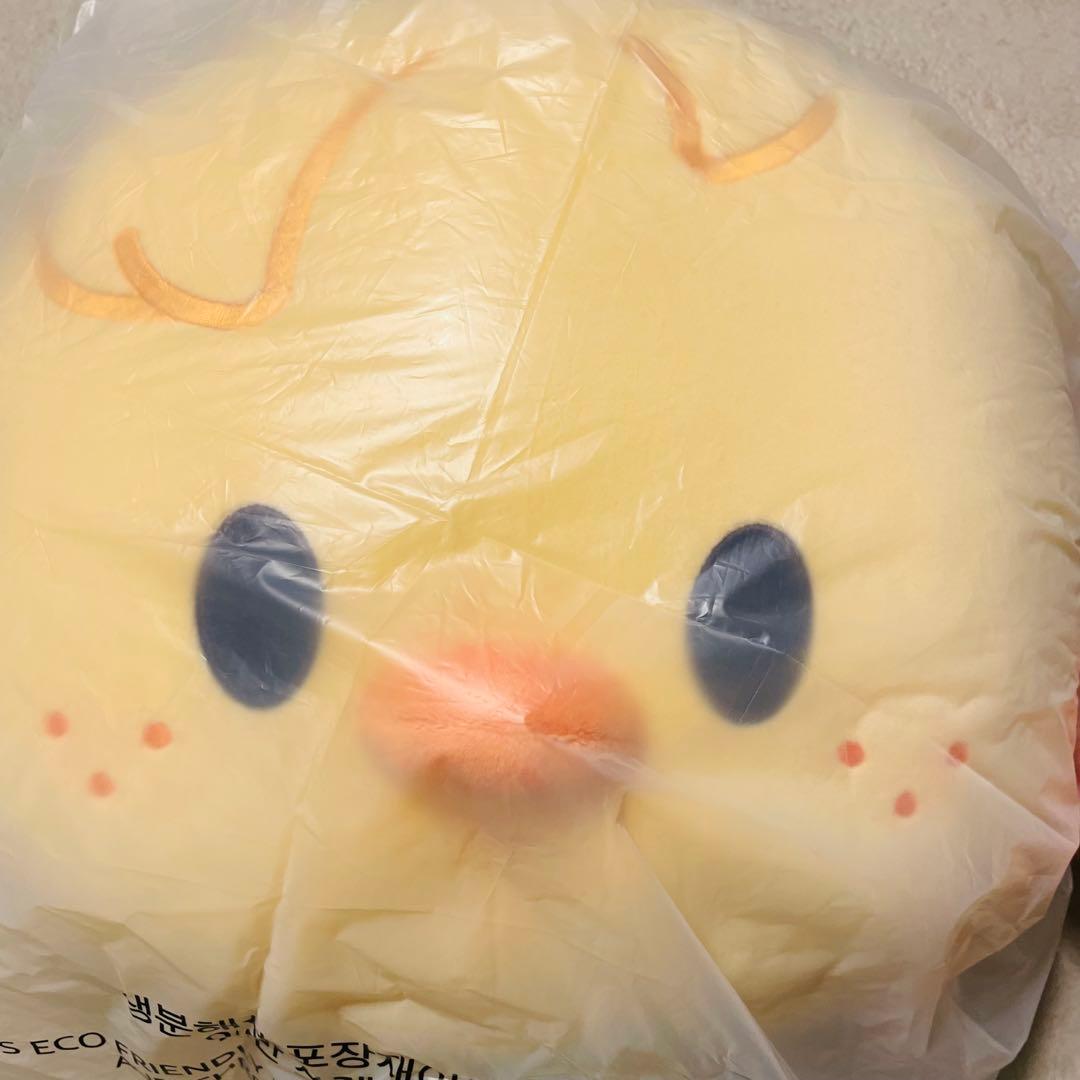 ポガリ　BbokAri クッション　SKZOO CUSHION BABY