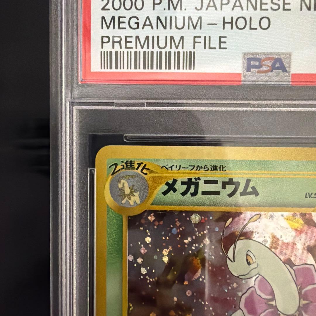 ポケモンカード 旧裏 メガニウム PSA10 ポケカ MEGANIUM