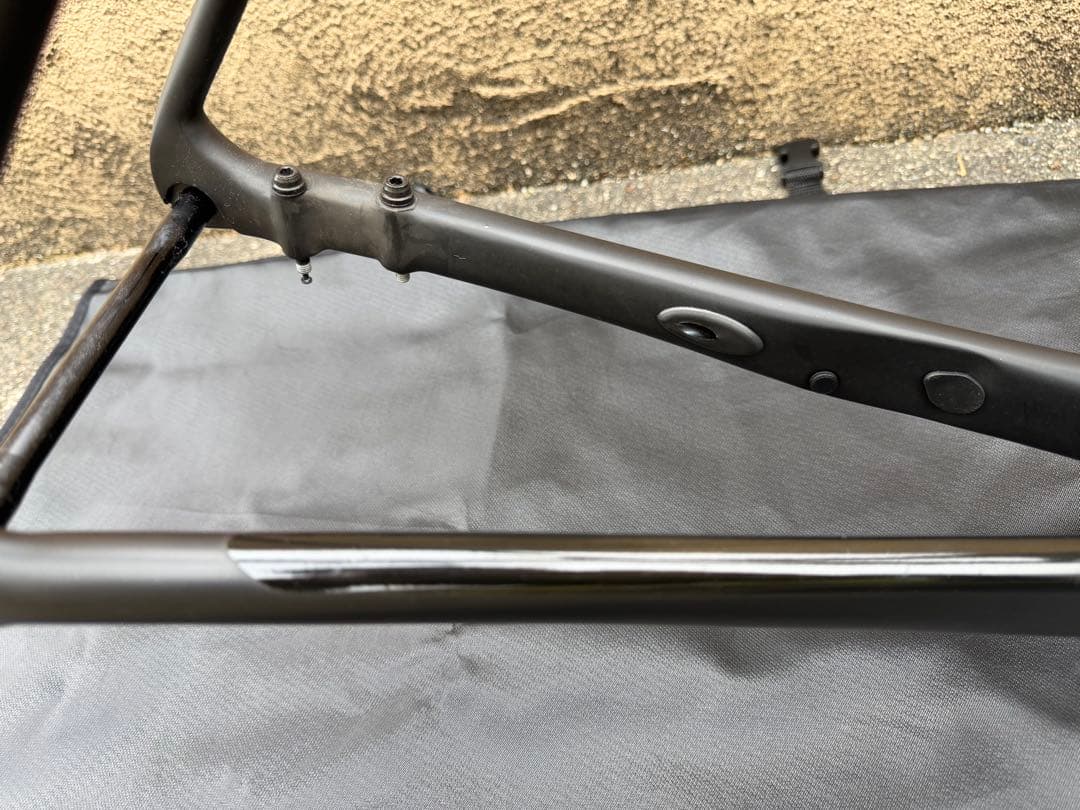 GIANT TCR ADVANCED PRO 1 DISC 2021 フレーム