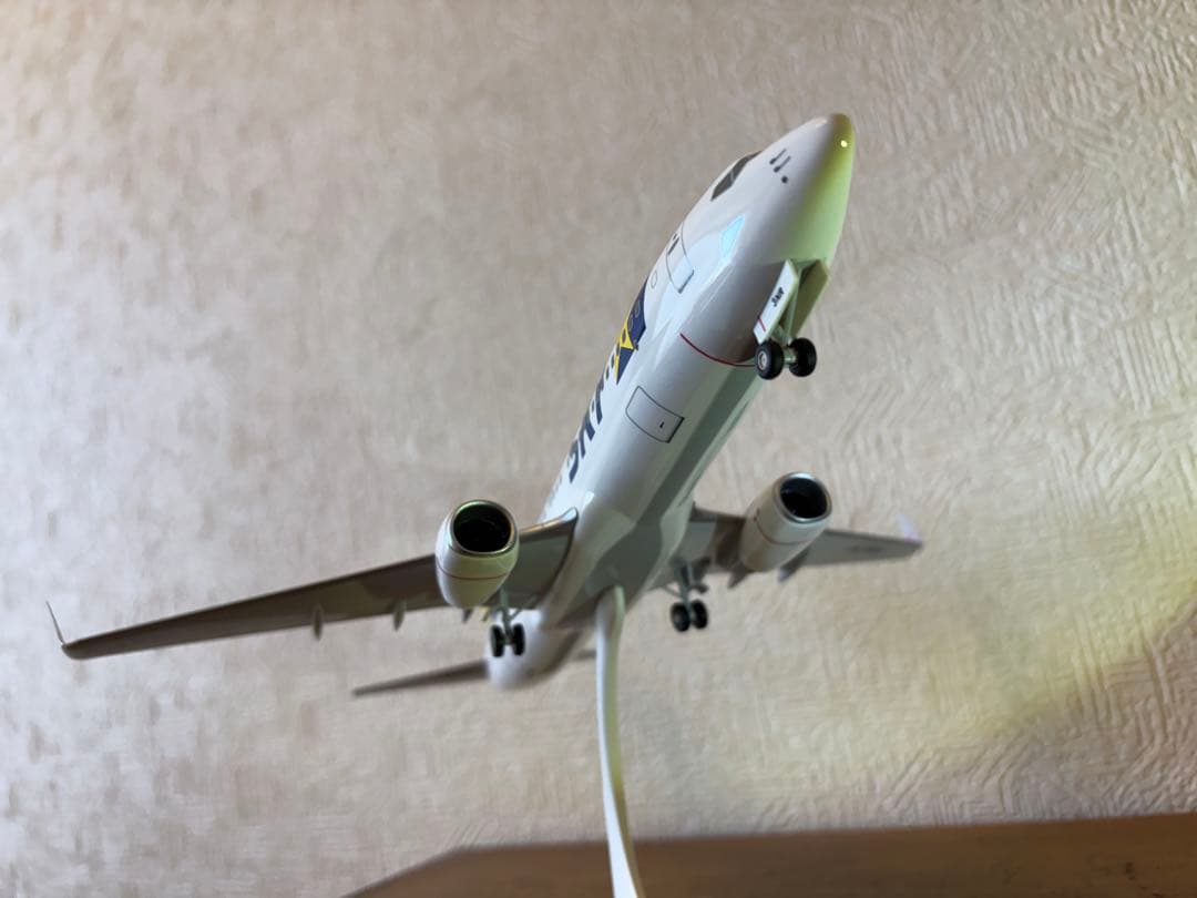 スカイマーク　ボーイング737-800 JA73AA仕様【250機限定】