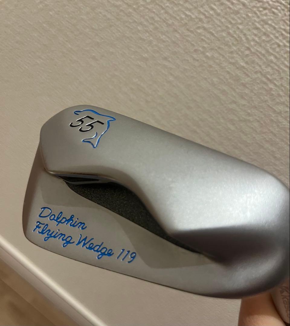 Dolphin Flying Wedge 119 55°