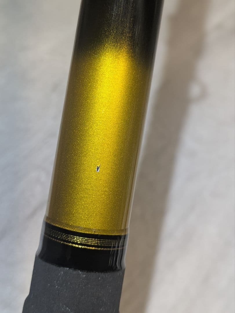 DAIWA BGガーラモンスター 12-49