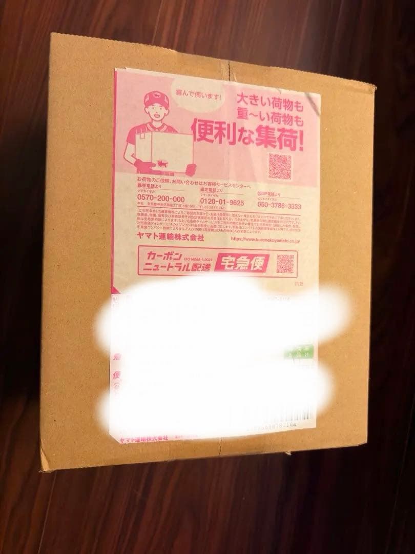 テラスタルフェスex 5box