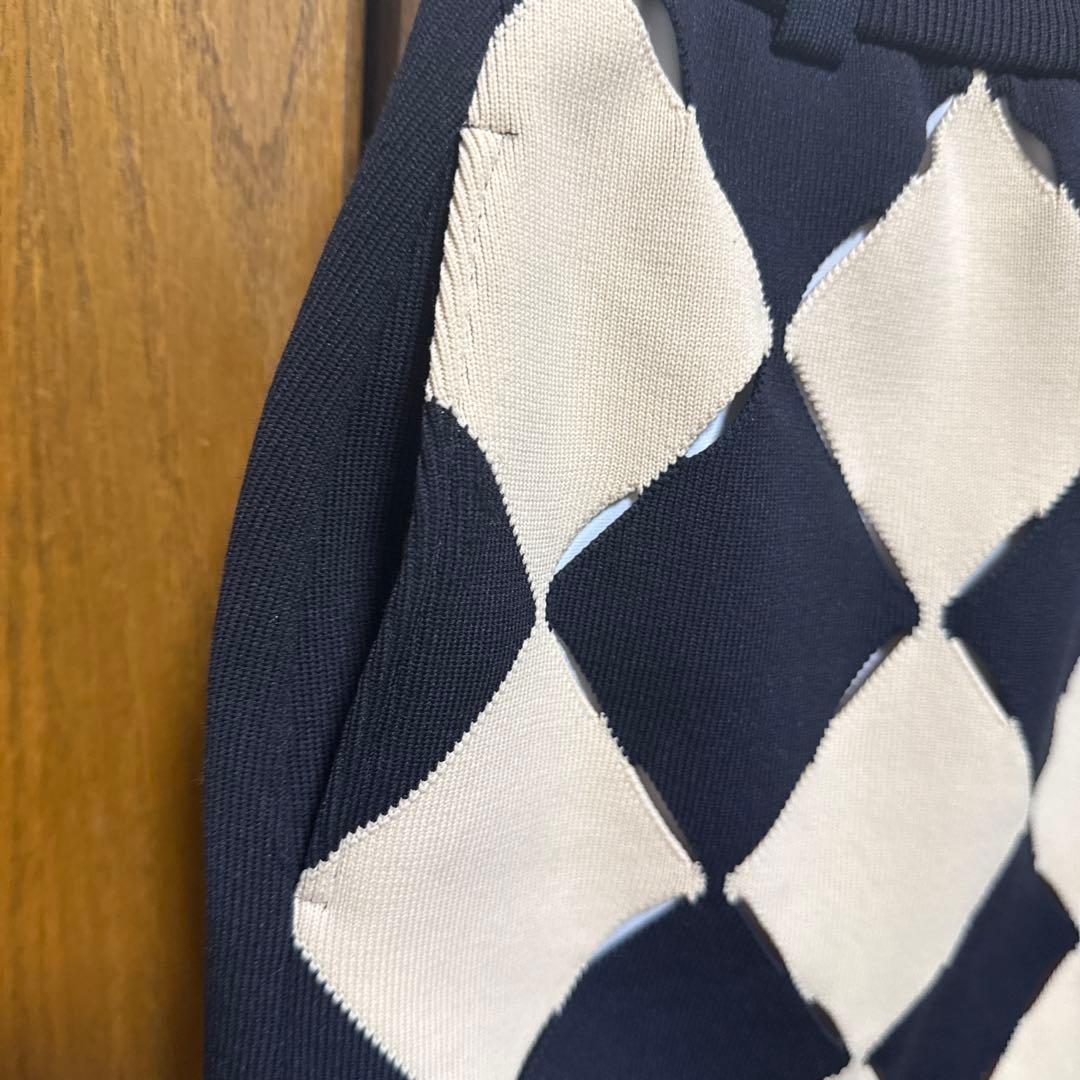 ⭐︎新品　アルチビオスカート（36）
