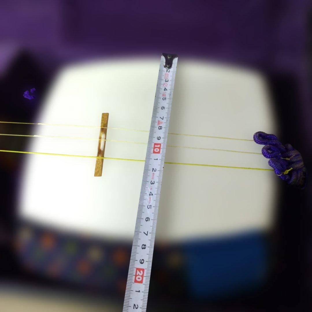 ☆期間限定特価！【三味線本体/和楽器/弦楽器/ハードケース付き/付属品あり】