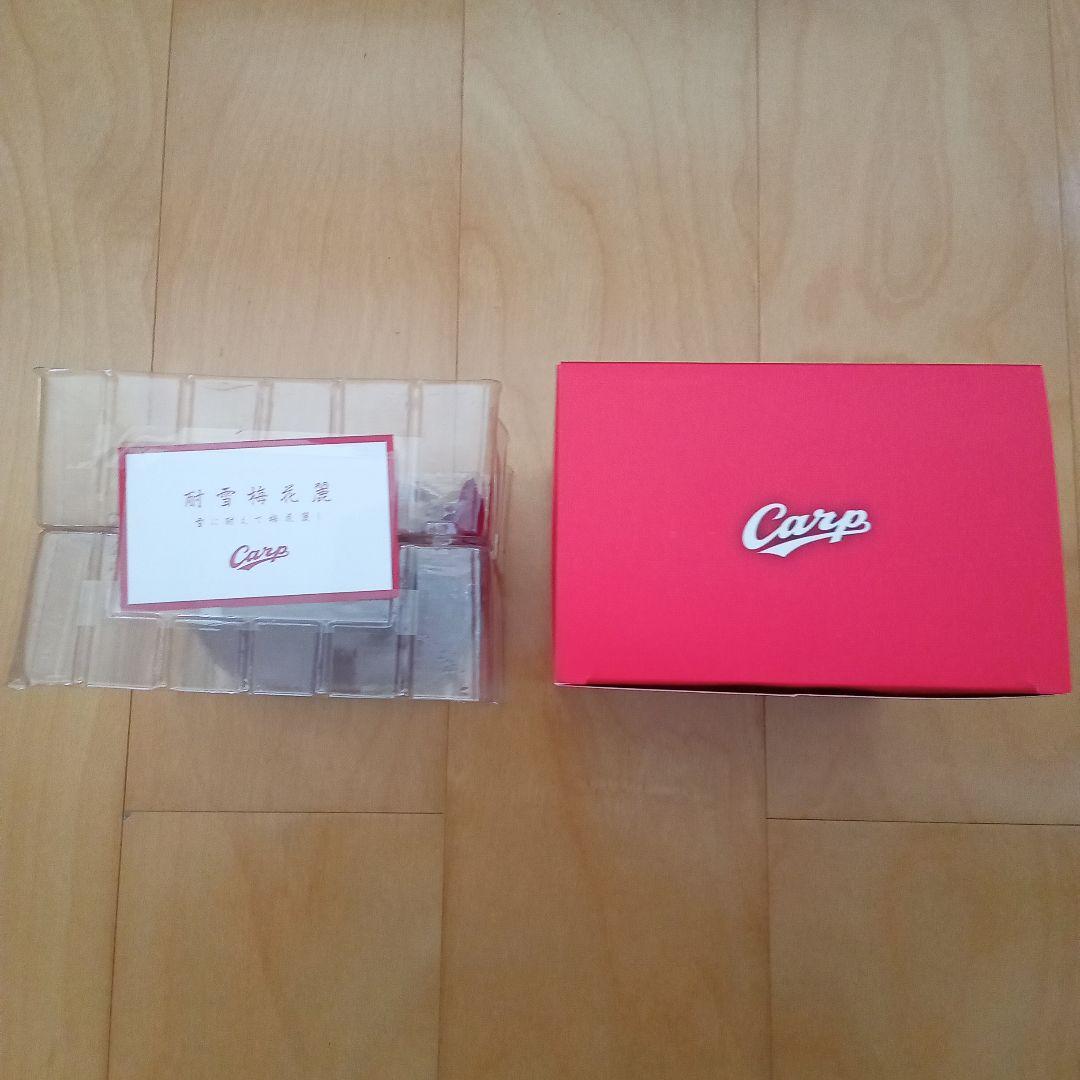 黒田博樹Carp Season Seat 2025限定版ボブルヘッド+オマケ