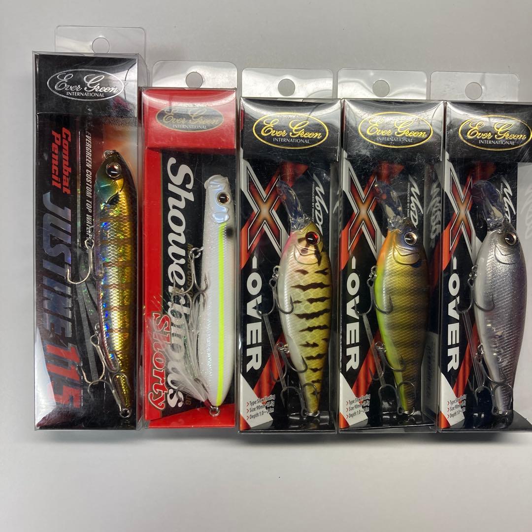 【新品未使用品】エバーグリーン３タイプ 5セット