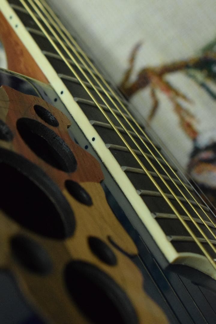 Ovation Celebrity CC48 Blue ハードケース付 動作良好