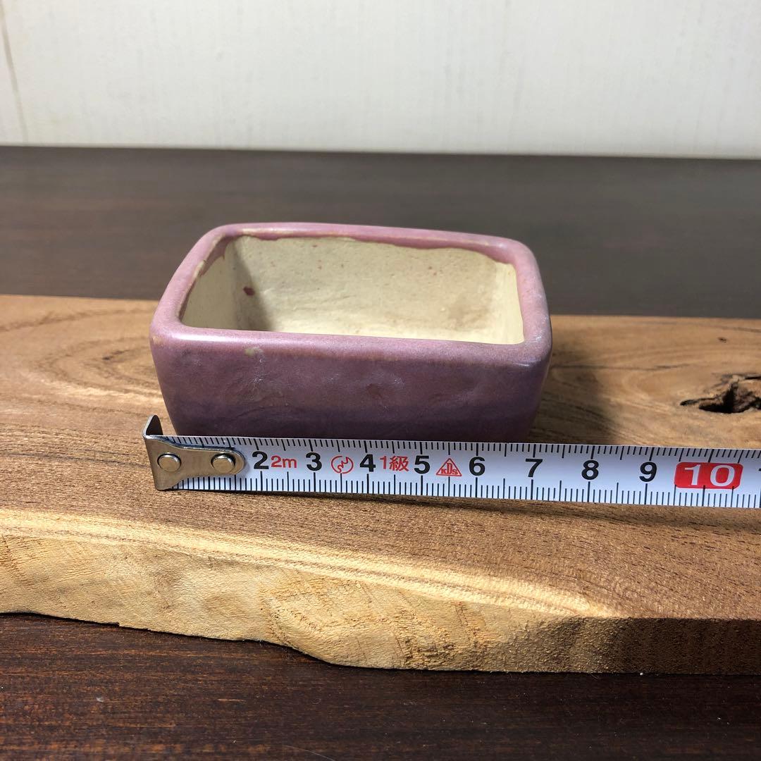 【名品 時代物】岡谷是心　展示会出品作品　　小品盆栽鉢　桃紅釉