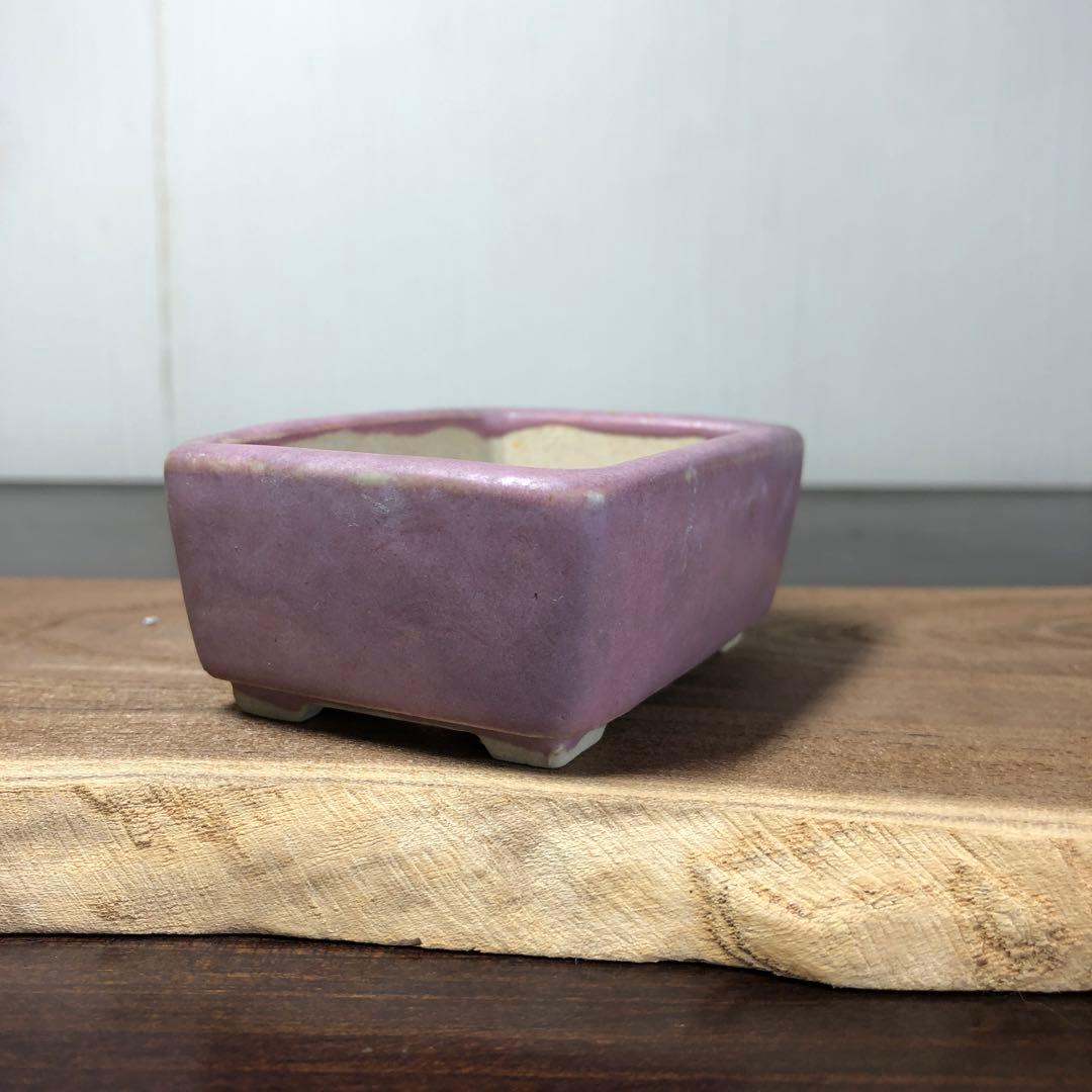 【名品 時代物】岡谷是心　展示会出品作品　　小品盆栽鉢　桃紅釉
