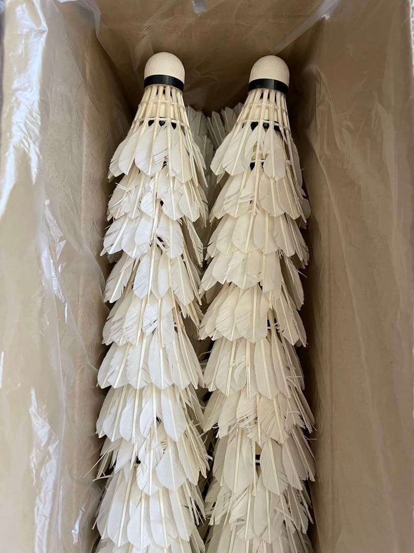 中古シャトル　ノック用　トマスカップトーナメント5 224個
