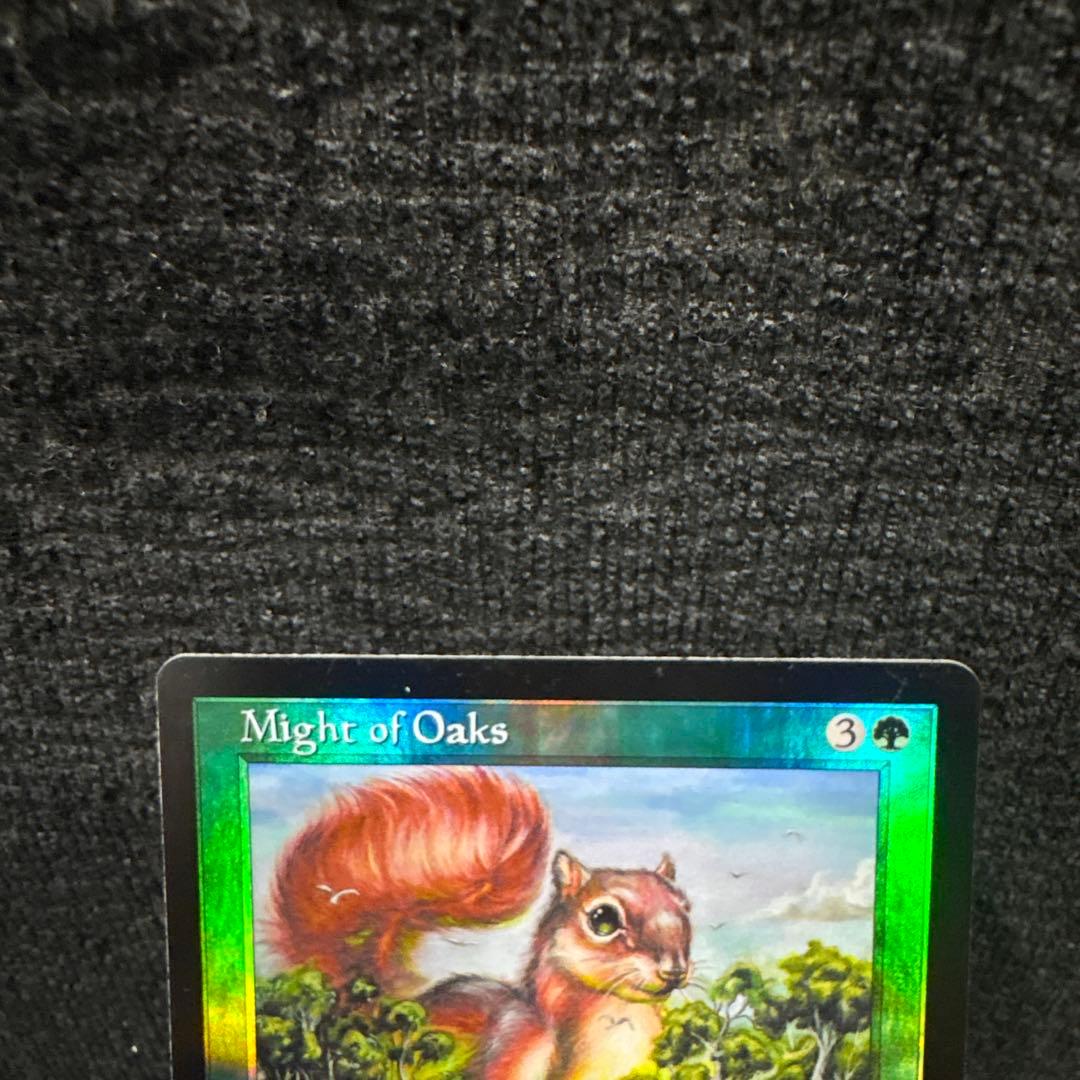 樫の力　foil