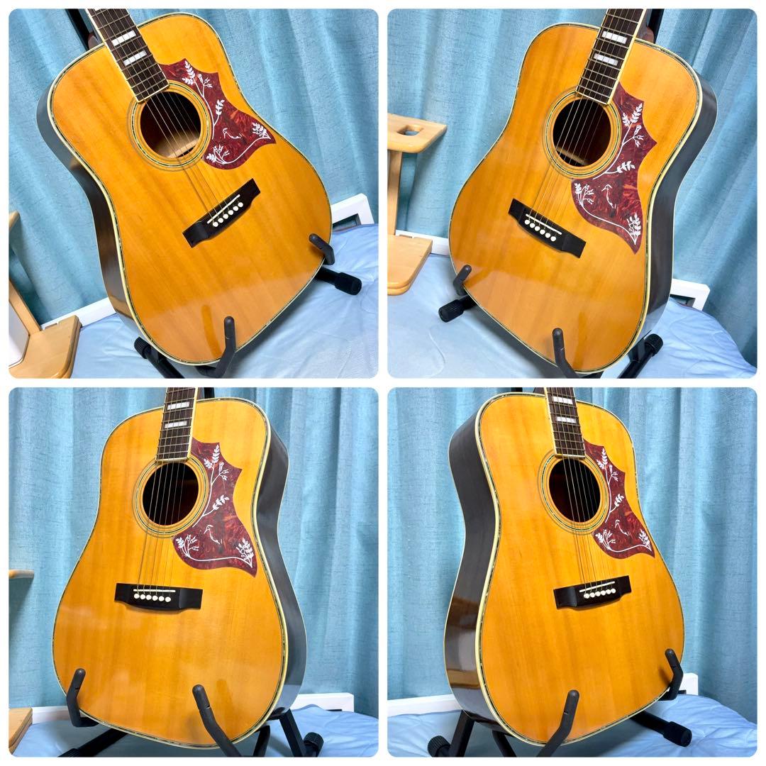 【牛骨】アコースティックギター！3Pバック【弾き易く調整☆新品の弦】