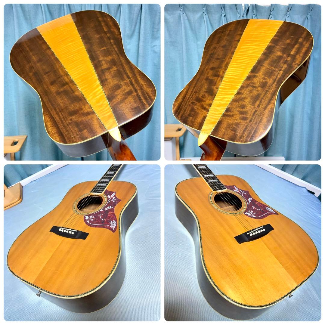 【牛骨】アコースティックギター！3Pバック【弾き易く調整☆新品の弦】