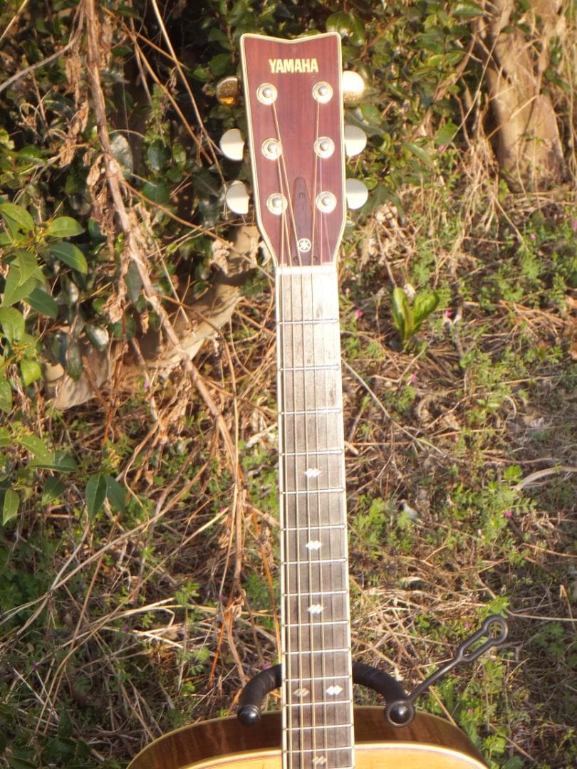 YAMAHA L-5 前期型　スプルース単板　コーラルローズ　エボニー