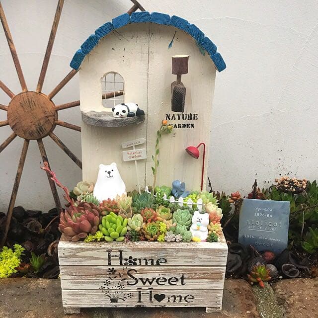 ★多肉植物　寄せ植え〜木製HOUSE 大　多肉動物園〜★