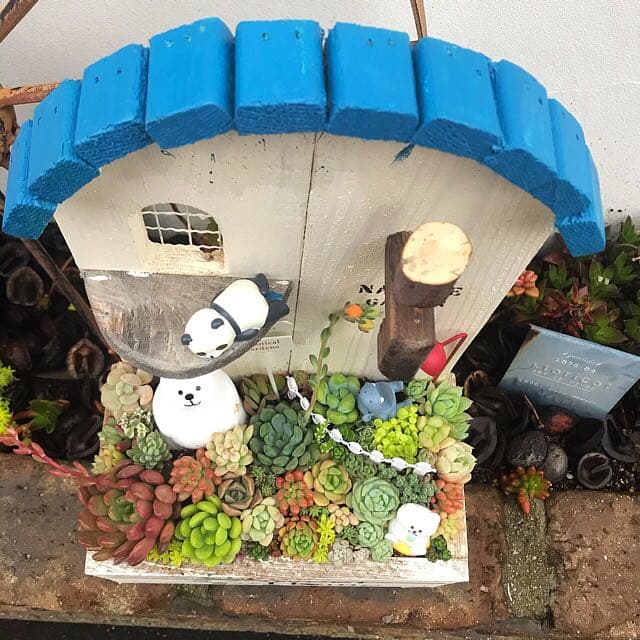 ★多肉植物　寄せ植え〜木製HOUSE 大　多肉動物園〜★