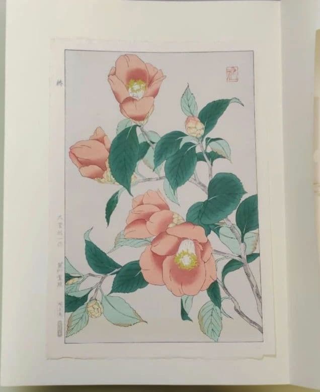 椿の花 日本画