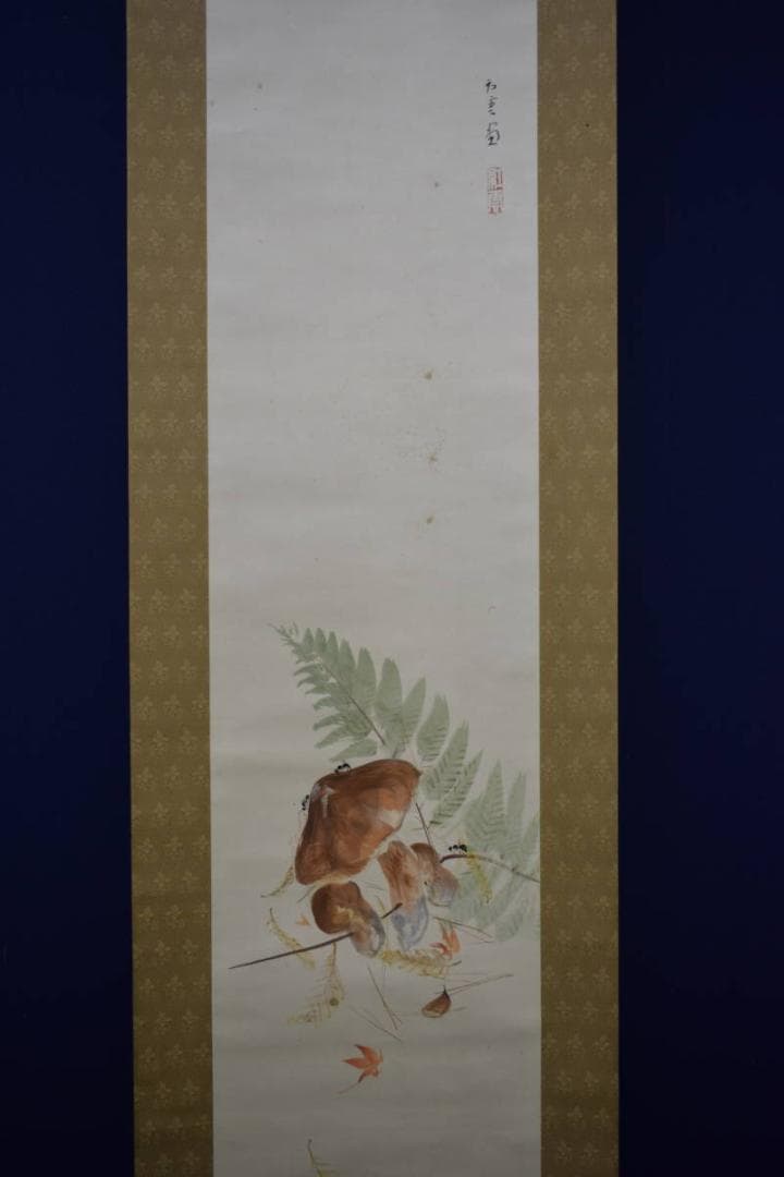 真作/山本紅雲/秋興/椎茸図/桐共箱付/布袋屋掛軸HI-187